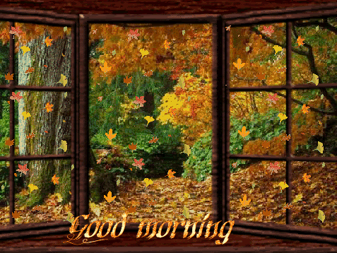 da3c5c829b7c.gif image by gmapoo